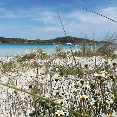 Casa Vacanze San Teodoro *