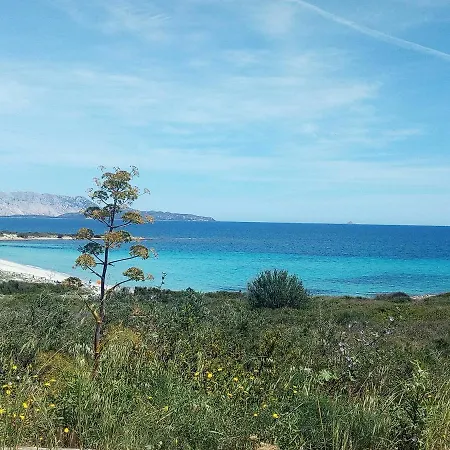 Holiday home Casa Vacanze San Teodoro
